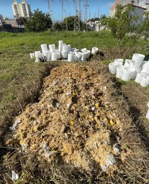 Leira de compostagem onde as sobras de alimentos coletadas são tratadas